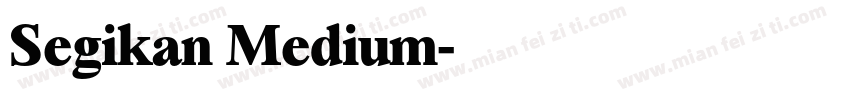 Segikan Medium字体转换